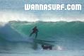 surf photo