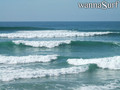 photo de surf