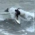 photo de surf