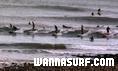 photo de surf