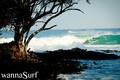 photo de surf