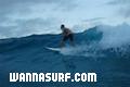 photo de surf