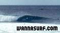 photo de surf