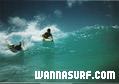 foto de surf