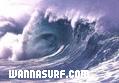 photo de surf