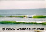 surf photo