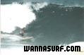 photo de surf