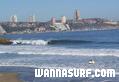 photo de surf