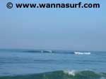 photo de surf