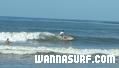 photo de surf